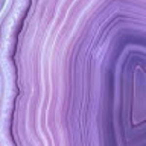 Meet your Posher, Sodapop